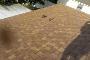 roofing_contractor_rizzo_roofing_llc_orlando_florida_certainteed_XT25_title
